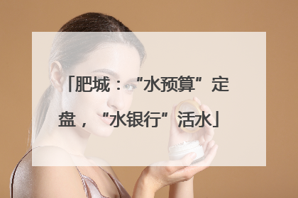 肥城：“水预算”定盘，“水银行”活水