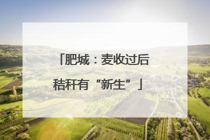 肥城：麦收过后秸秆有“新生”