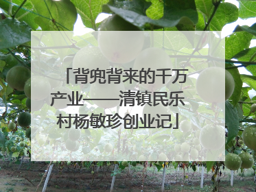 背兜背来的千万产业——清镇民乐村杨敏珍创业记