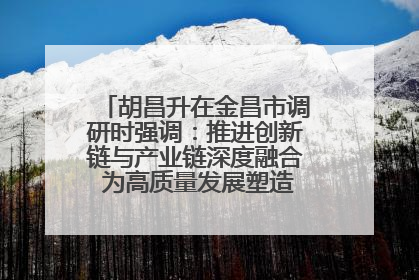 胡昌升在金昌市调研时强调：推进创新链与产业链深度融合 为高质量发展塑造新动能新优势