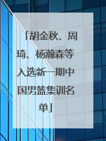 胡金秋、周琦、杨瀚森等入选新一期中国男篮集训名单