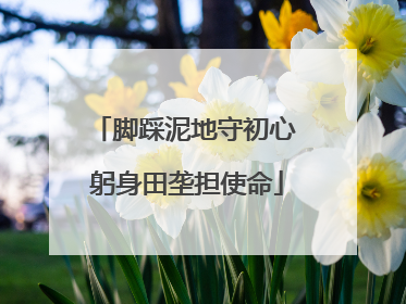 脚踩泥地守初心 躬身田垄担使命