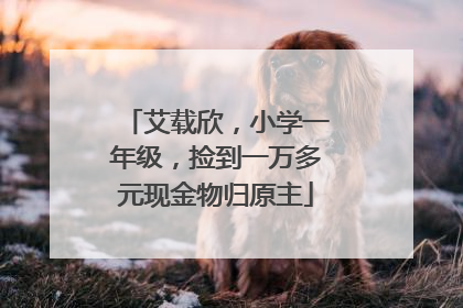 艾载欣，小学一年级，捡到一万多元现金物归原主