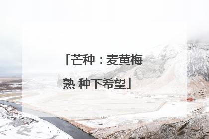 芒种：麦黄梅熟 种下希望