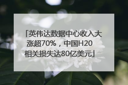 英伟达数据中心收入大涨超70%，中国H20相关损失达80亿美元