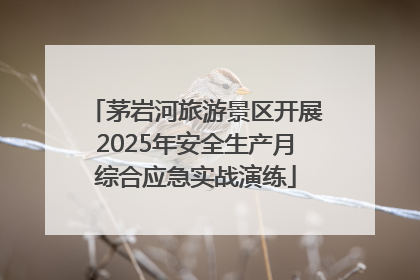 茅岩河旅游景区开展2025年安全生产月综合应急实战演练