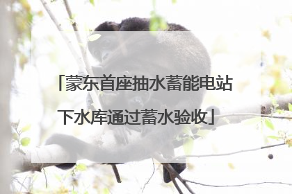蒙东首座抽水蓄能电站下水库通过蓄水验收