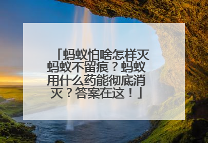 蚂蚁怕啥怎样灭蚂蚁不留痕？蚂蚁用什么药能彻底消灭？答案在这！
