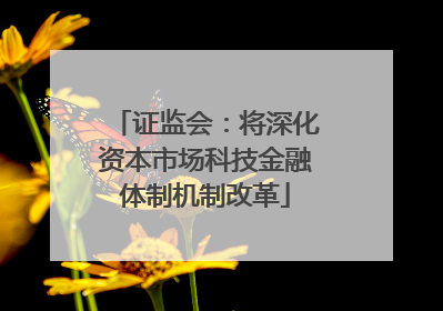 证监会：将深化资本市场科技金融体制机制改革