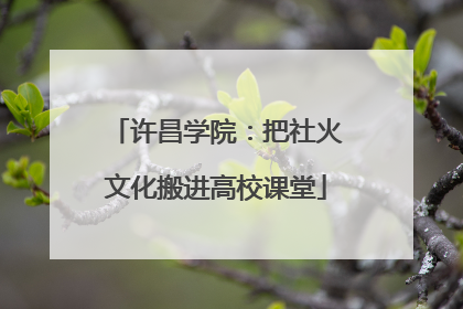 许昌学院：把社火文化搬进高校课堂