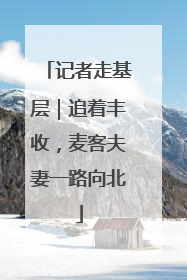 记者走基层｜追着丰收，麦客夫妻一路向北