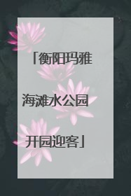 衡阳玛雅海滩水公园开园迎客