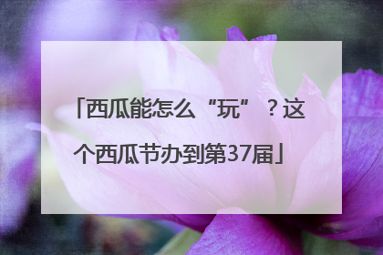 西瓜能怎么“玩”？这个西瓜节办到第37届