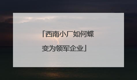 西南小厂如何蝶变为领军企业