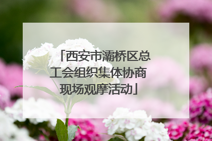 西安市灞桥区总工会组织集体协商现场观摩活动