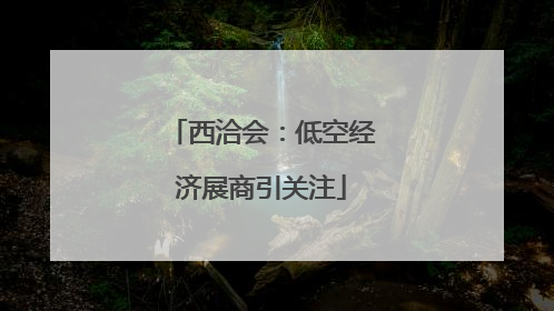 西洽会：低空经济展商引关注