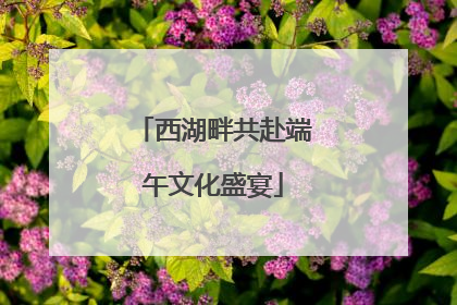 西湖畔共赴端午文化盛宴
