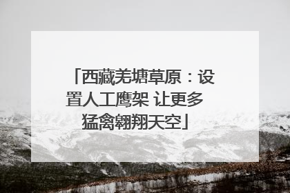 西藏羌塘草原：设置人工鹰架 让更多猛禽翱翔天空