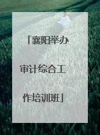 襄阳举办审计综合工作培训班