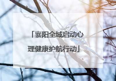 襄阳全域启动心理健康护航行动