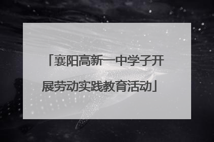 襄阳高新一中学子开展劳动实践教育活动