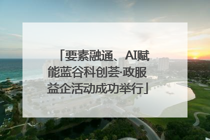 要素融通、AI赋能蓝谷科创荟·政服益企活动成功举行