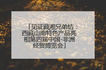 见证藏湘兄弟情：西藏山南特色产品亮相第四届中国-非洲经贸博览会