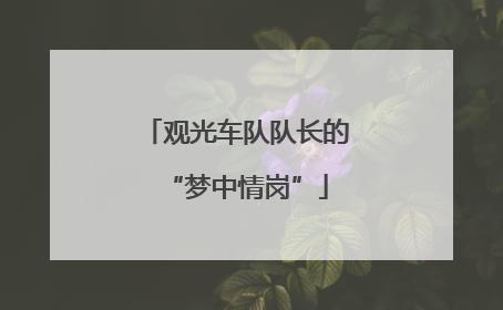 观光车队队长的“梦中情岗”