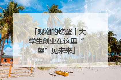 观潮的螃蟹丨大学生创业在这里“望”见未来
