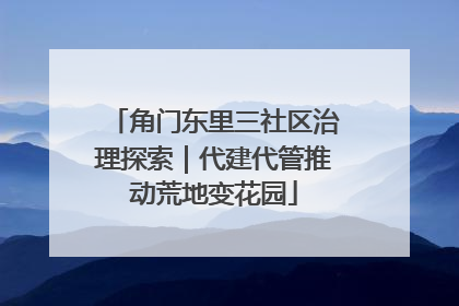角门东里三社区治理探索｜代建代管推动荒地变花园