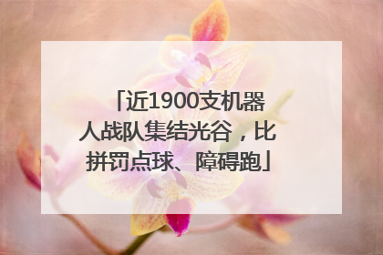 近1900支机器人战队集结光谷，比拼罚点球、障碍跑