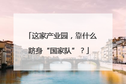 这家产业园，靠什么跻身“国家队”？