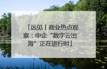 远见丨商业热点观察：中企“数字云出海”正在进行时