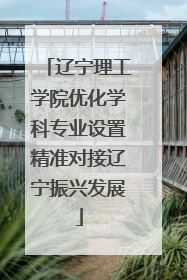 辽宁理工学院优化学科专业设置精准对接辽宁振兴发展