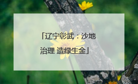 辽宁彰武：沙地治理 造绿生金