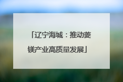 辽宁海城：推动菱镁产业高质量发展