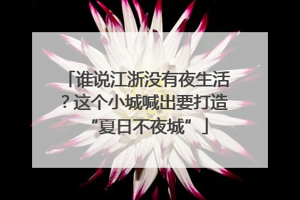 谁说江浙没有夜生活？这个小城喊出要打造“夏日不夜城”