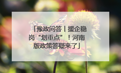 豫政问答丨援企稳岗“划重点”！河南版政策答疑来了