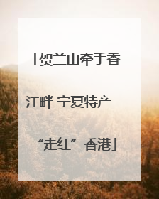 贺兰山牵手香江畔 宁夏特产“走红”香港