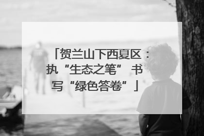 贺兰山下西夏区：执“生态之笔” 书写“绿色答卷”