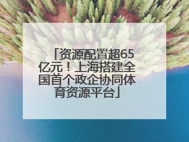 资源配置超65亿元！上海搭建全国首个政企协同体育资源平台