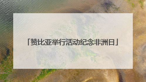 赞比亚举行活动纪念非洲日