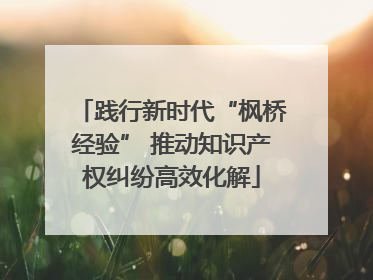 践行新时代“枫桥经验” 推动知识产权纠纷高效化解