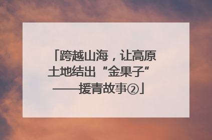 跨越山海，让高原土地结出“金果子”——援青故事②