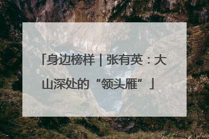 身边榜样｜张有英：大山深处的“领头雁”