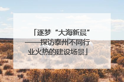 逐梦“大海新晨”——探访泰州不同行业火热的建设场景