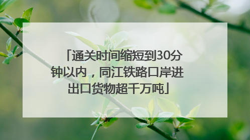 通关时间缩短到30分钟以内，同江铁路口岸进出口货物超千万吨