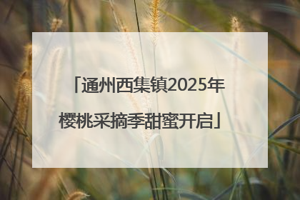 通州西集镇2025年樱桃采摘季甜蜜开启