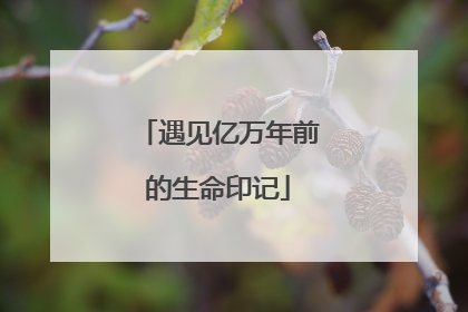 遇见亿万年前的生命印记