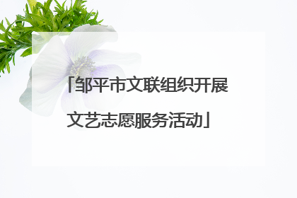 邹平市文联组织开展文艺志愿服务活动